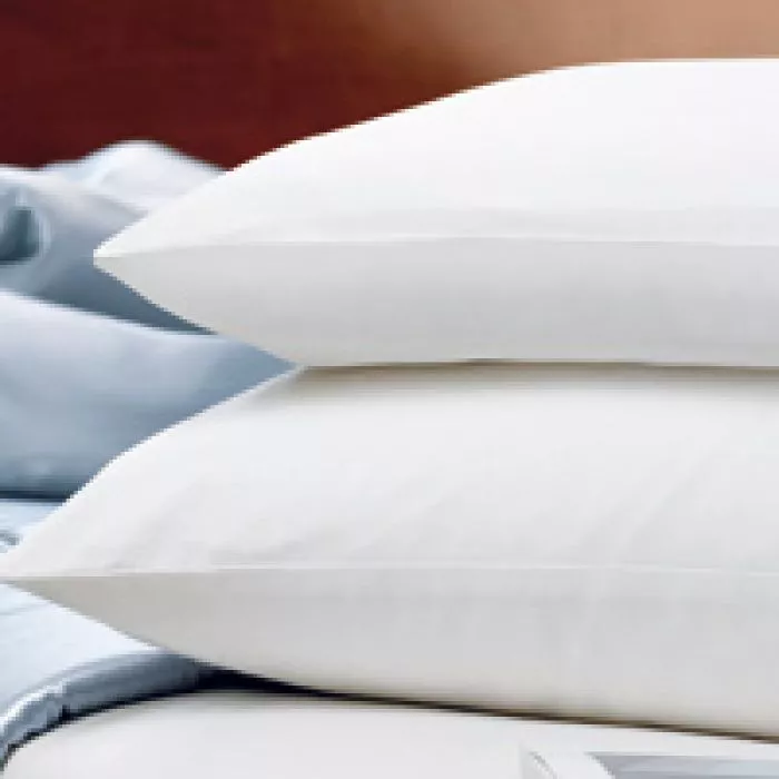 100% Silk Pillows